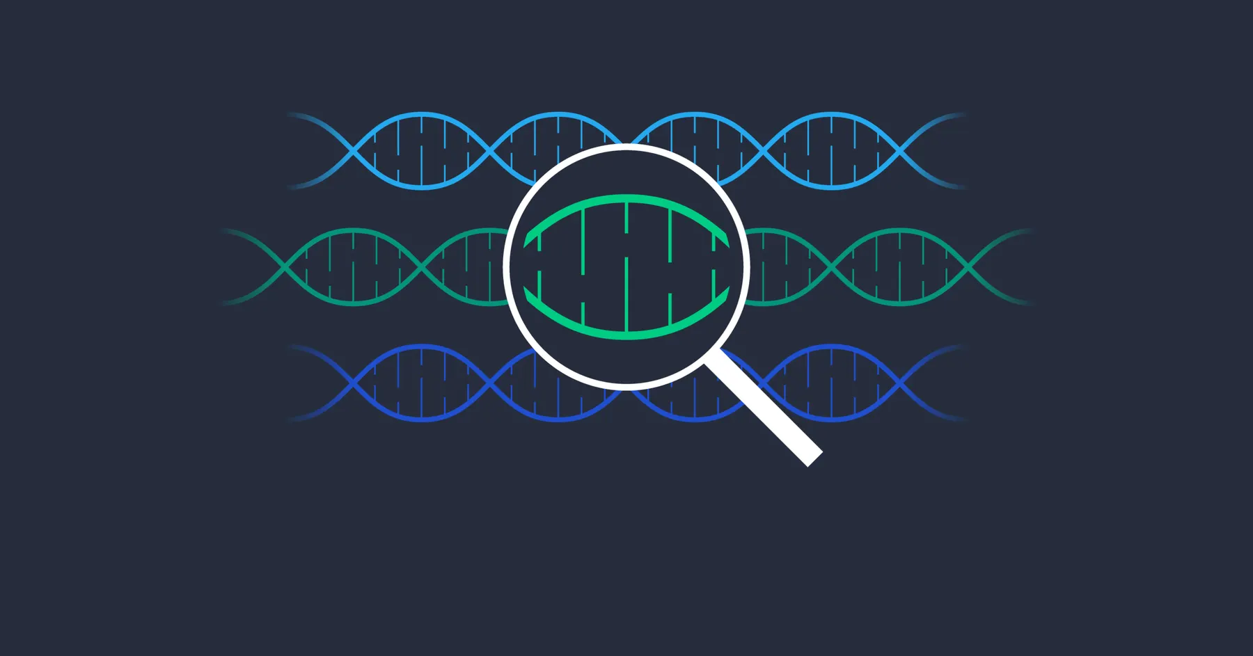 Genetic algorithm used for path-finding - cover image